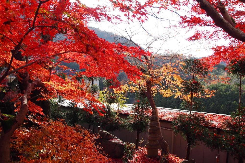 Ryokan Nenrinbo Kyōto Exterior foto