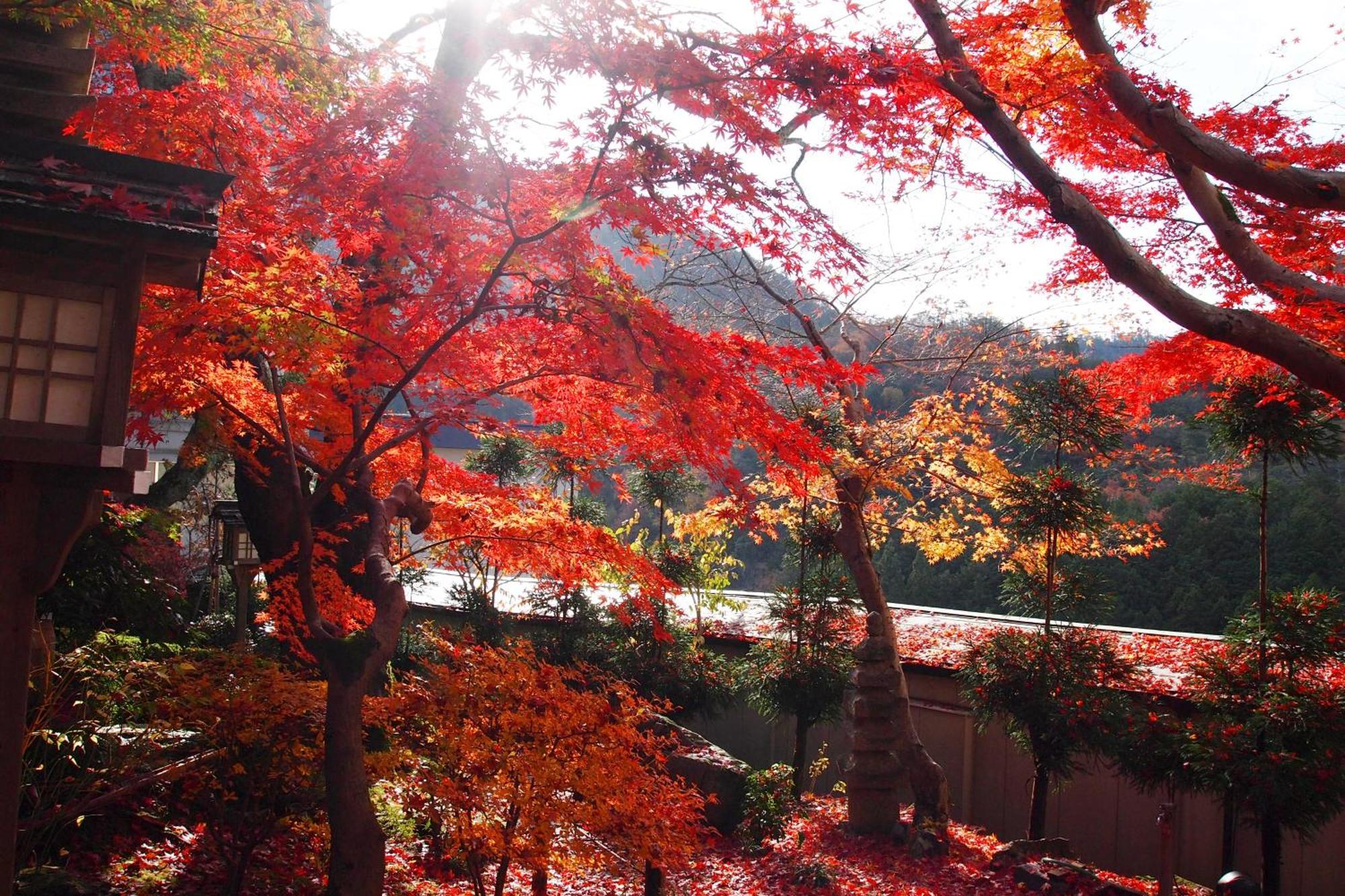 Ryokan Nenrinbo Kyōto Exterior foto