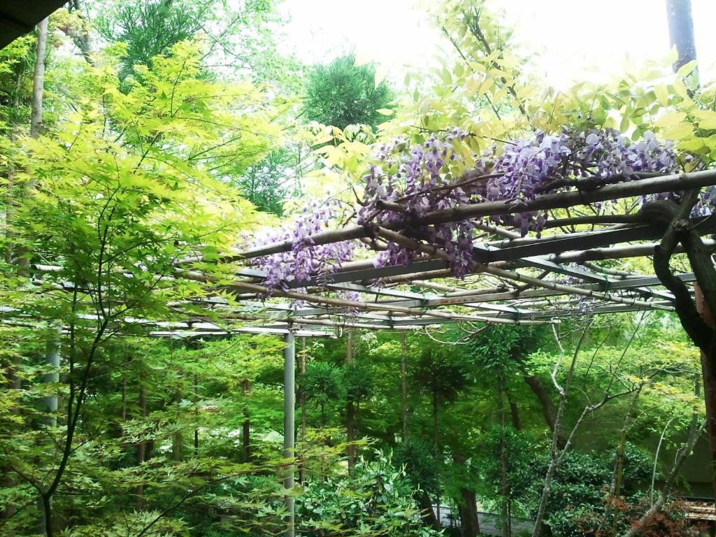 Ryokan Nenrinbo Kyōto Exterior foto